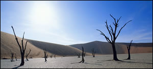 Sun May Give Away The Blades